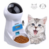 3L Automatic Feeder with Voice Record Pets food Bowl for Dog Cat 4 times One Day - GiftMaybe