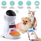 3L Automatic Feeder with Voice Record Pets food Bowl for Dog Cat 4 times One Day - GiftMaybe